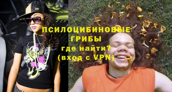 мяу мяу мука Вяземский