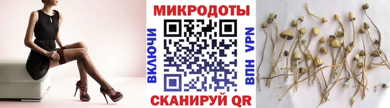 Галлюциногенные грибы мухоморы  Купить  Чаплыгин 