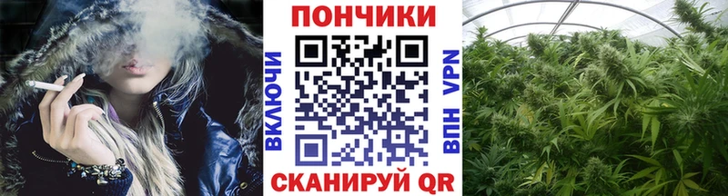 Бошки марихуана план  Купить где  Чаплыгин 